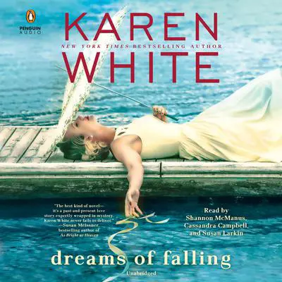 Dreams of Falling Audibook, by Karen White