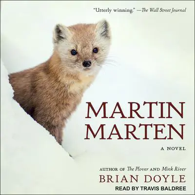 Martin Marten: A Novel Audibook, by Brian Doyle