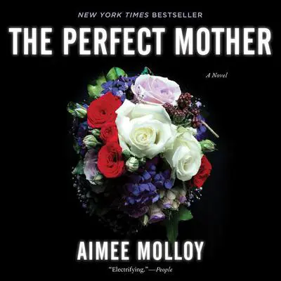 The Perfect Mother: A Novel Audibook, by Aimee Molloy