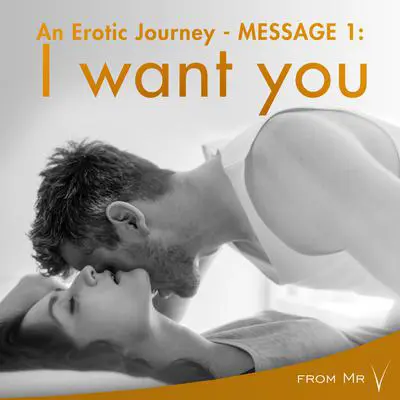 An Erotic Journey, Message 1: I want you Audibook, by from Mr V