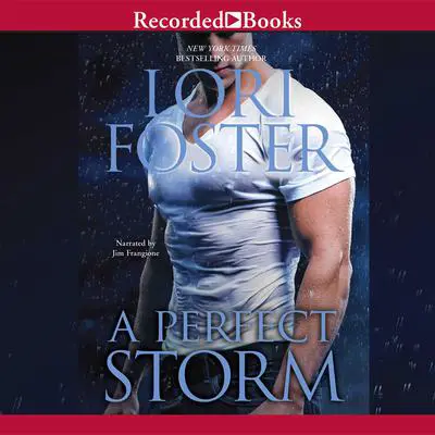 A Perfect Storm Audibook, by Lori Foster