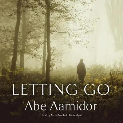 Letting Go Audibook, by Abe Aamidor