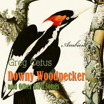 Downy Woodpecker and Other Bird Songs: Nature Sounds for Awakening Audibook, by Greg Cetus