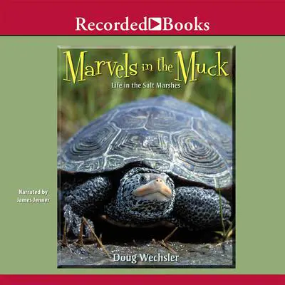 Marvels in the Muck: Life in the Salt Marshes Audibook, by Doug Wechsler