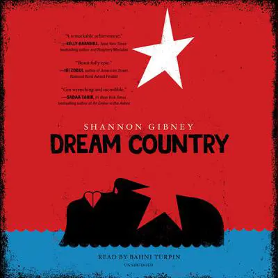 Dream Country Audibook, by Shannon Gibney