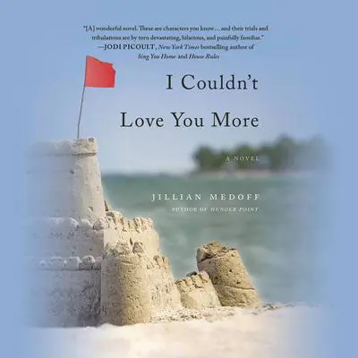 I Couldn't Love You More Audibook, by Jillian Medoff