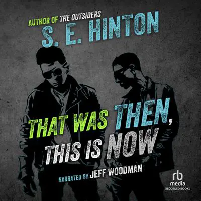 That Was Then, This Is Now Audibook, by S. E. Hinton
