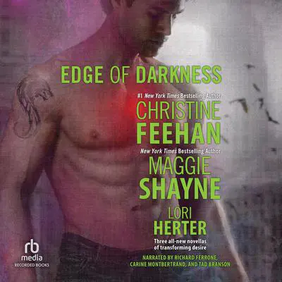 Edge of Darkness Audibook, by Maggie Shayne