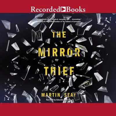 The Mirror Thief Audibook, by Martin Seay