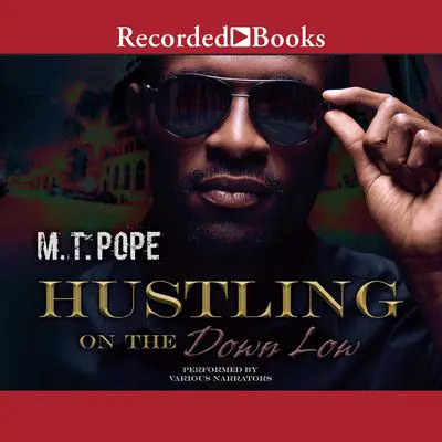 Hustling on the Down Low Audibook, by M. T. Pope