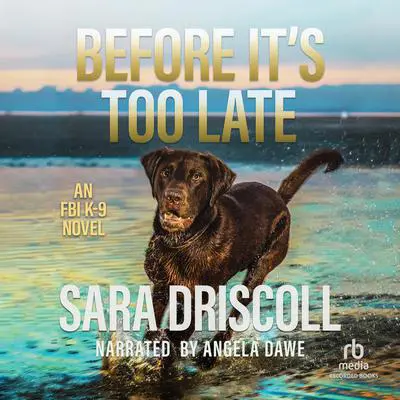 Before It's Too Late: Why Some Kids Get Into Trouble--and What Parents Can Do About It Audibook, by Sara Driscoll