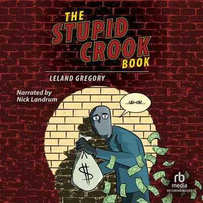 The Stupid Crook Book Audibook, by Leland Gregory