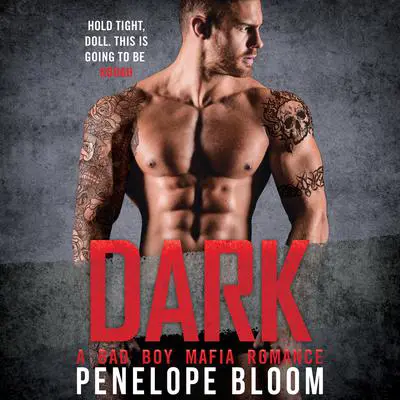 Dark: A Bad Boy Secret Baby Romance Audibook, by Penelope Bloom