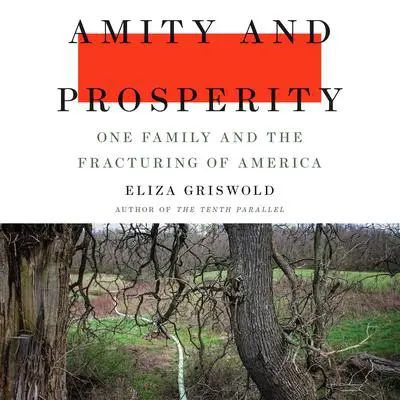 Amity and Prosperity: One Family and the Fracturing of America Audibook, by Eliza Griswold