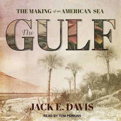 The Gulf: The Making of An American Sea Audibook, by Jack E. Davis