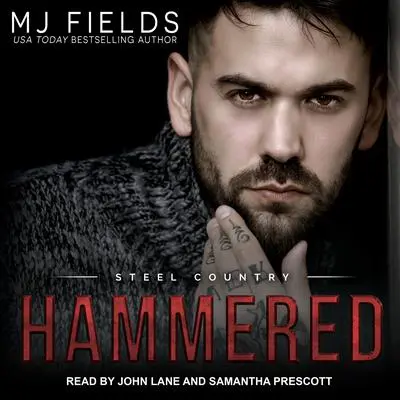 Hammered Audibook, by MJ Fields