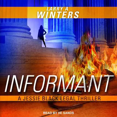Informant Audibook, by Larry A. Winters