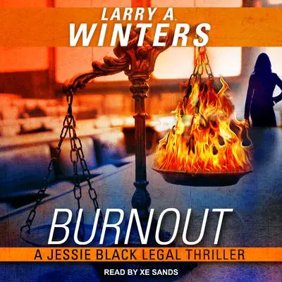 Burnout Audibook, by Larry A. Winters