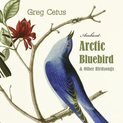 Arctic Bluebird and Other Birdsongs: Ambient Soundscape for Meditation Audibook, by Greg Cetus