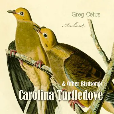 Carolina Turtledove and Other Birdsongs Audibook, by Greg Cetus