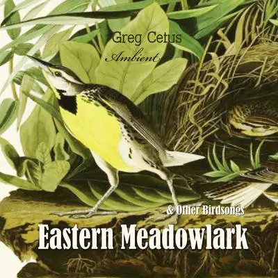 Eastern Meadowlark and Other Bird Songs Audibook, by Greg Cetus