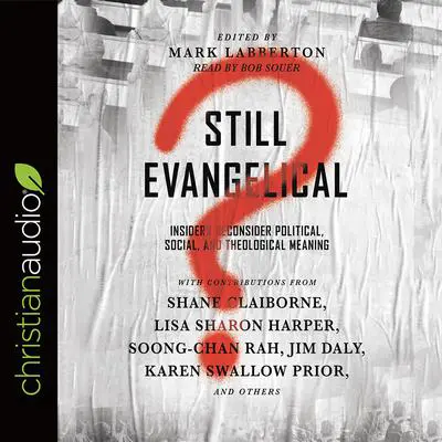 Still Evangelical?: Insiders Reconsider Political, Social, and Theological Meaning Audibook, by Mark Labberton