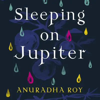Sleeping on Jupiter Audibook, by Anuradha Roy