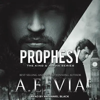 Prophesy Audibook, by A. E. Via