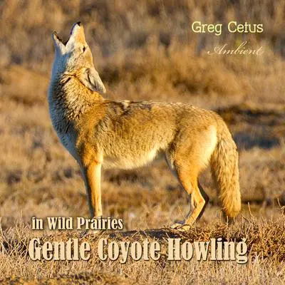 Gentle Coyote Howling in Wild Prairies Audibook, by Greg Cetus