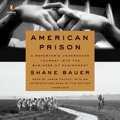 American Prison: A Reporter's Undercover Journey into the Business of Punishment Audibook, by Shane Bauer