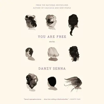 You Are Free: Stories Audibook, by Danzy Senna
