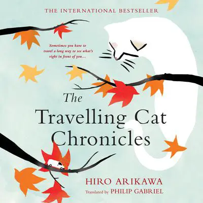 The Travelling Cat Chronicles Audibook, by Hiro Arikawa