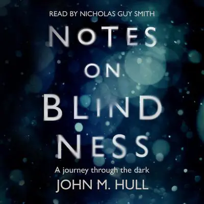Notes on Blindness: A Journey Through the Dark Audibook, by John Hull