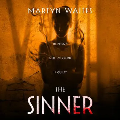 The Sinner Audibook, by Martyn Waites