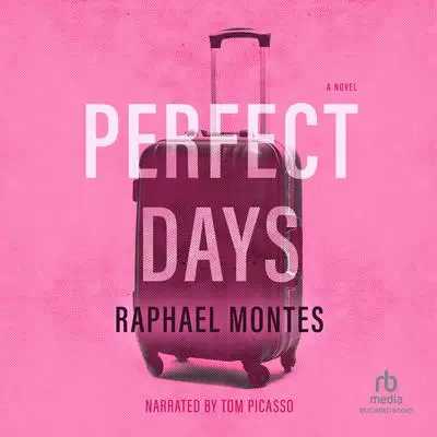 Perfect Days Audibook, by Alison Entrekin