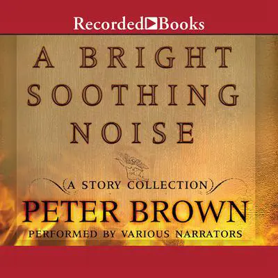 A Bright Soothing Noise Audibook, by Peter Brown