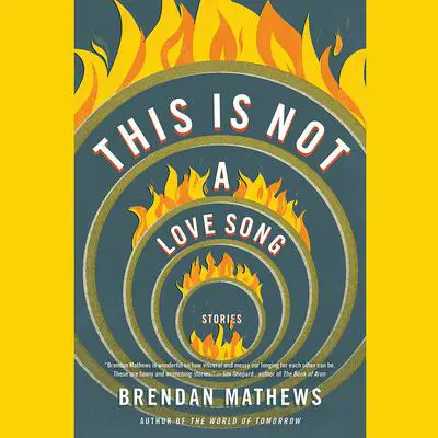 This Is Not a Love Song Audibook, by Brendan Mathews
