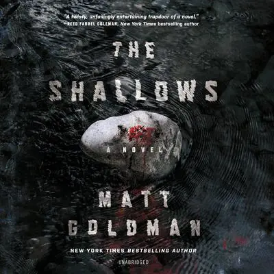 The Shallows Audibook, by Matt Goldman