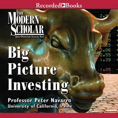 Big Picture Investing Audibook, by Peter Navarro
