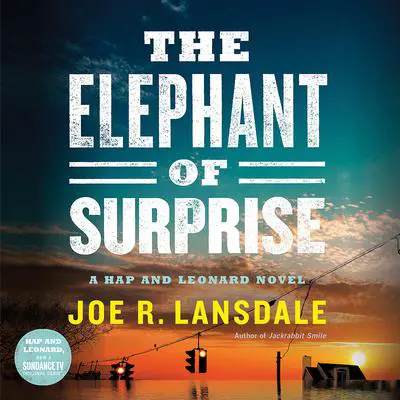 The Elephant of Surprise Audibook, by Joe R. Lansdale