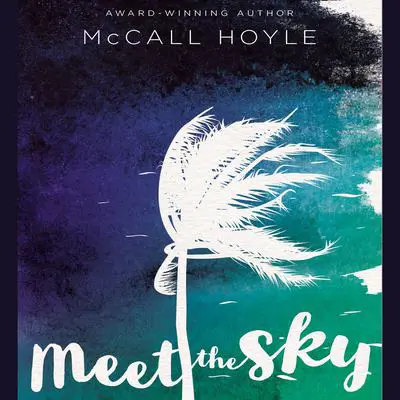 Meet the Sky Audibook, by McCall Hoyle