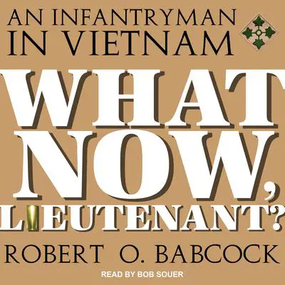 What Now, Lieutenant? Audibook, by Robert O. Babcock