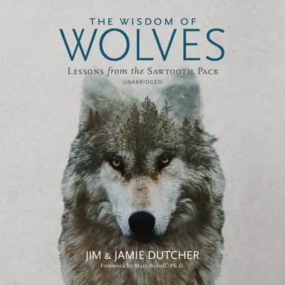 The Wisdom of Wolves: Lessons from the Sawtooth Pack Audibook, by Jim Dutcher