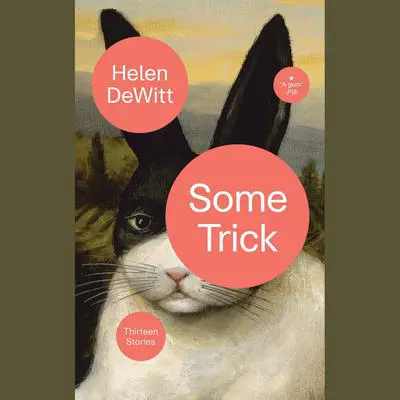 Some Trick: Thirteen Stories Audibook, by Helen DeWitt