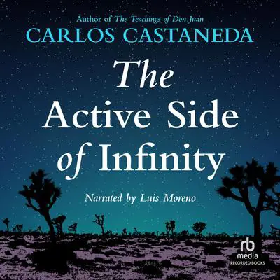 The Active Side of Infinity Audibook, by Carlos Castaneda