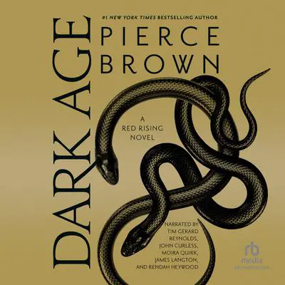 Dark Age Audibook, by Pierce Brown