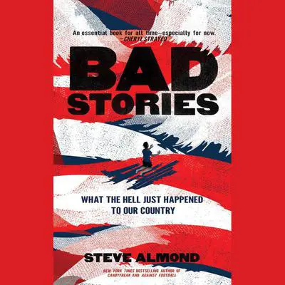 Bad Stories: What the Hell Just Happened to Our Country Audibook, by Steve Almond