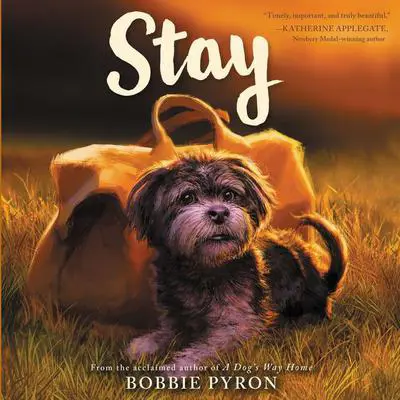Stay Audibook, by Bobbie Pyron