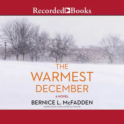The Warmest December Audibook, by Bernice L. McFadden