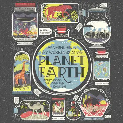 The Wondrous Workings of Planet Earth: Understanding Our World and Its Ecosystems Audibook, by Rachel Ignotofsky